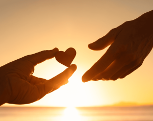 照護困境、照護悲歌