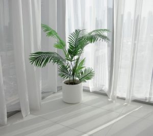 失智症照護、半夜躁動、失智走失