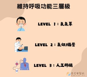 安寧醫療、臨終照護、善終