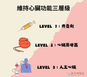 安寧醫療、臨終照護、善終