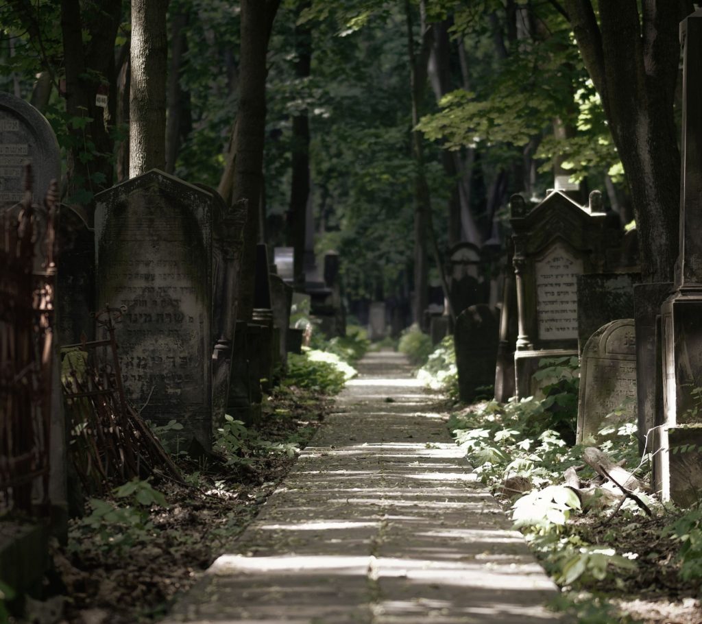 安寧醫療、臨終照護、善終