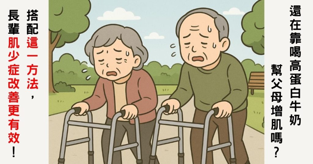 肌少症、增肌、高蛋白